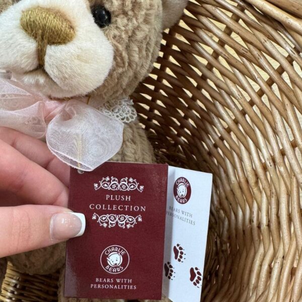 Cwtch Charlie Bears Close-up of Charlie Bears Cwtch plush bear with tag showing Plush Collection logo