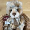 Heartwood Close-up of Charlie Bears Heartwood plush bear in a basket showing face and bow