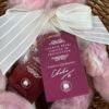Plumo Collection Tags showing certificate of authenticity on Charlie Bears Julia teddy bear