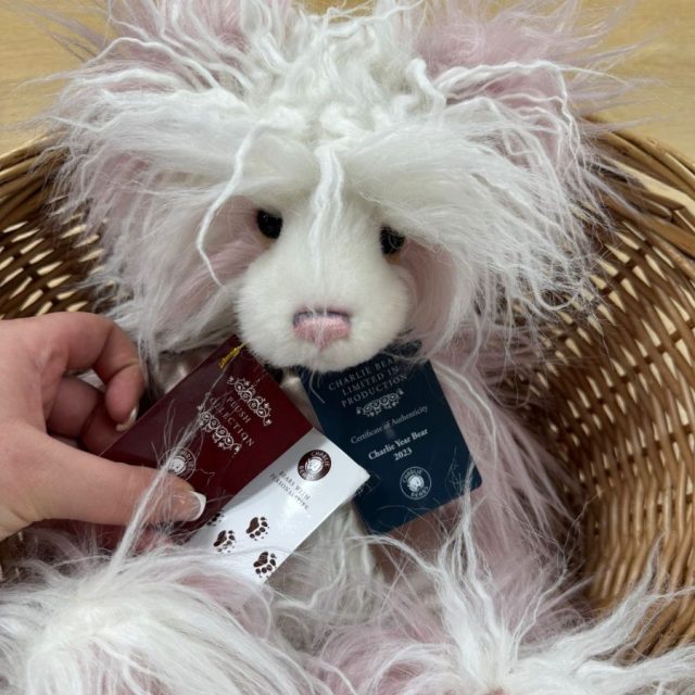 Charlie Year Bear 2023