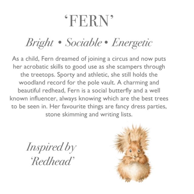 Wrendale 'Fern' squirrel plush character description card with handwritten style text