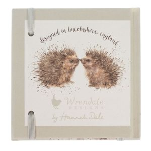 Wrendale 'New Beginnings' Hedgehog Password Book