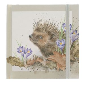 Wrendale 'New Beginnings' Hedgehog Password Book