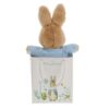 Peter Rabbit - Gift Bag Rear view of Peter Rabbit soft toy in blue jacket sitting inside a decorative Peter Rabbit gift bag