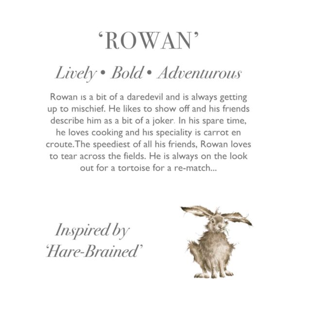 'Rowan' Hare Character Illustrated description card detailing the personality of Wrendale 'Rowan' Hare Character