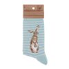 Wrendale 'Hare and the Bee' hare socks Single Wrendale Hare and the Bee sock with brown hare on pale blue and white stripes