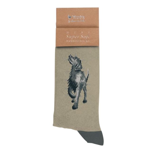 Khaki men's socks with a stitched grey Labrador dog design and brown packaging label
