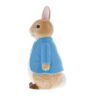 Peter Rabbit Sculpted Money Box Opposite side view of Peter Rabbit money bank in blue jacket