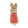 Back view of Flopsy Small soft toy showing red cape and white bunny tail