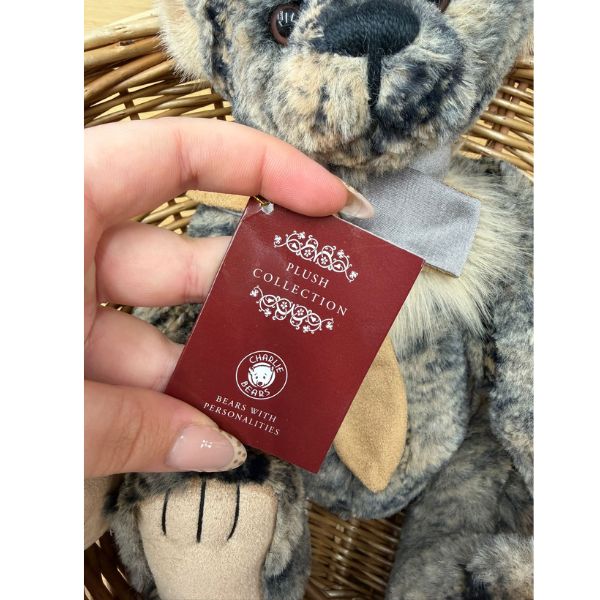 Close-up of Charlie Bears JD plush bear showing Plush Collection tag with hand