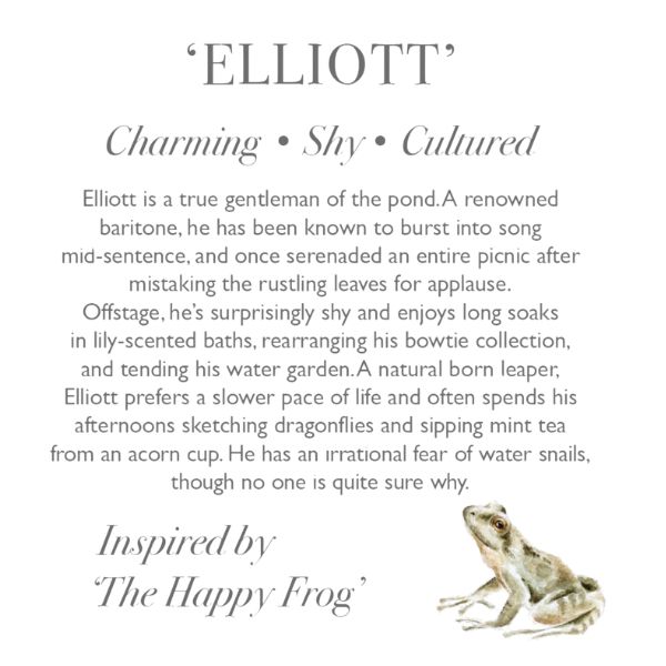 Wrendale Designs 'Elliott' Frog Character Description card showing character traits and story of Wrendale Elliott Frog