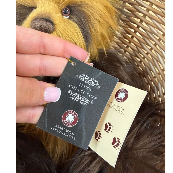 Anniversary Noodle Charlie Bears Close-up of Charlie Bears Anniversary Noodle plush bear showing plush collection tags