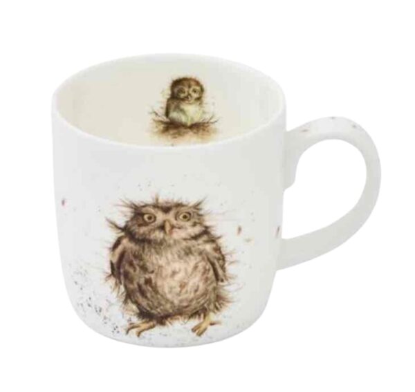 Wrendale Designs 'What A Hoot' Owl Mug