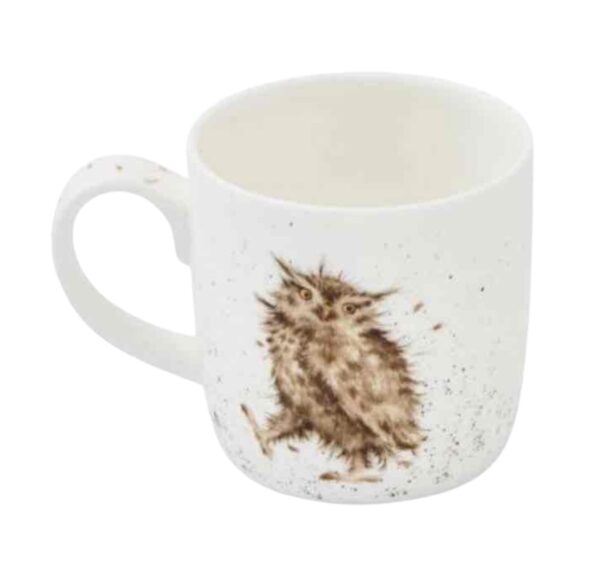 Wrendale Designs 'What A Hoot' Owl Mug