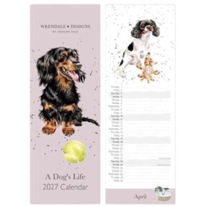Wrendale 'A Dog's Life' Dog Slim Calendar - 2027