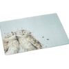 Wrendale 'Birds Of A Feather' Owl Glass Worktop Saver
