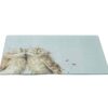 Wrendale 'Birds Of A Feather' Owl Glass Worktop Saver
