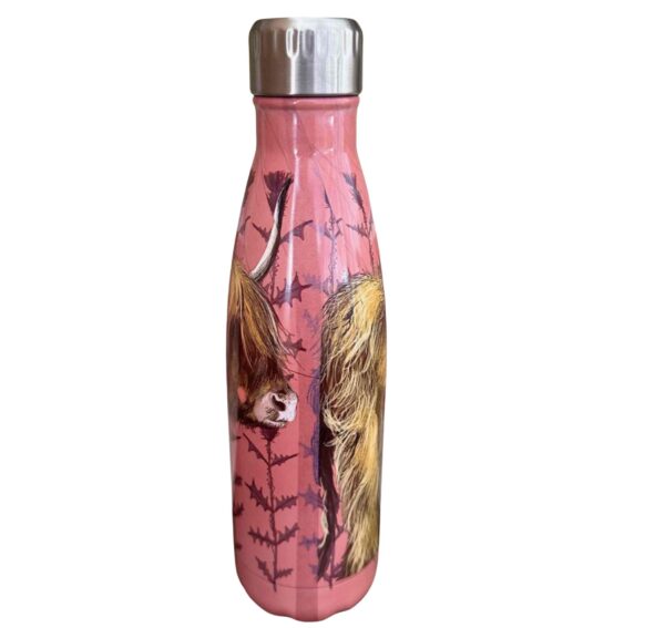 Alex Clark - Highland Cow Water Bottle