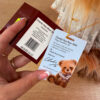 Charlie Year Bear 2026 | Limited Edition Charlie Bear UK -Cards & More