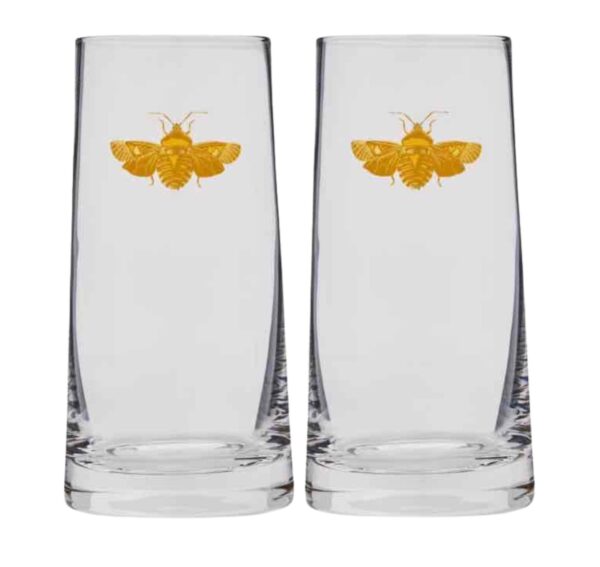 Spode Creatures of Curiosity Highball Glass Set Spode Creatures of Curiosity Highball Glass Set